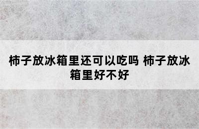 柿子放冰箱里还可以吃吗 柿子放冰箱里好不好